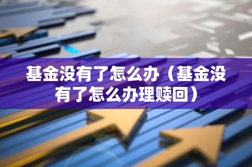 基金没有了怎么办（基金没有了怎么办理赎回）