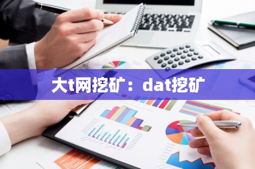 大t网挖矿：dat挖矿