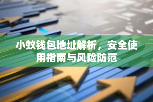小蚁钱包地址解析，安全使用指南与风险防范