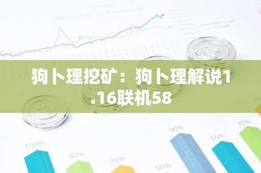 狗卜理挖矿：狗卜理解说1.16联机58