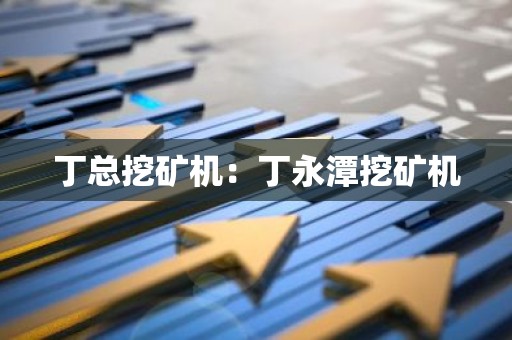 丁总挖矿机：丁永潭挖矿机