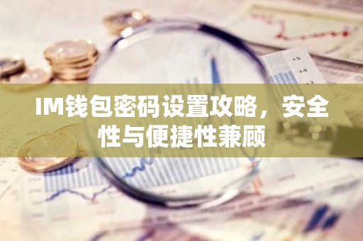 IM钱包密码设置攻略，安全性与便捷性兼顾