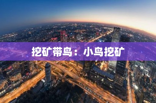 挖矿带鸟：小鸟挖矿