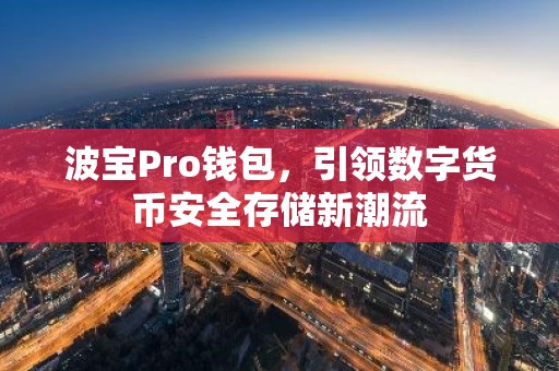 波宝Pro钱包，引领数字货币安全存储新潮流