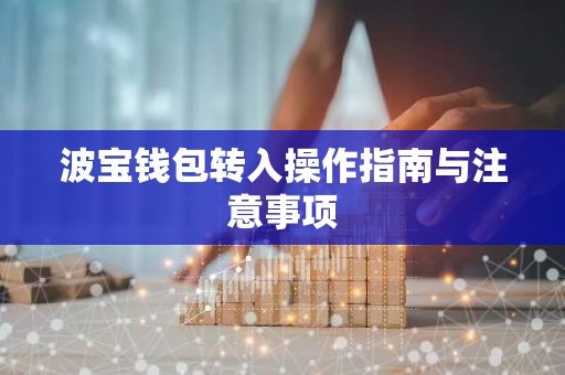 波宝钱包转入操作指南与注意事项