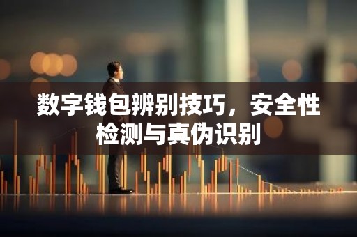 数字钱包辨别技巧，安全性检测与真伪识别