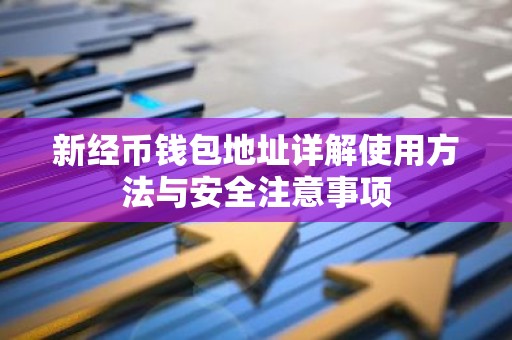 新经币钱包地址详解使用方法与安全注意事项