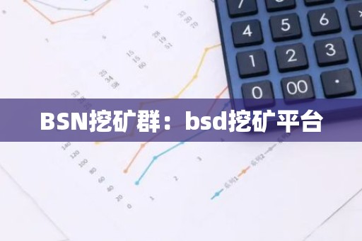 BSN挖矿群：bsd挖矿平台