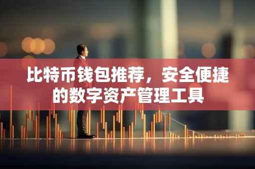 比特币钱包推荐，安全便捷的数字资产管理工具