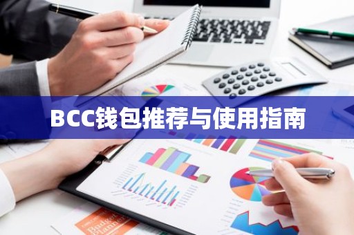 BCC钱包推荐与使用指南