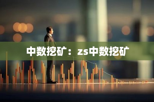 中数挖矿：zs中数挖矿