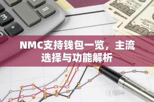 NMC支持钱包一览，主流选择与功能解析
