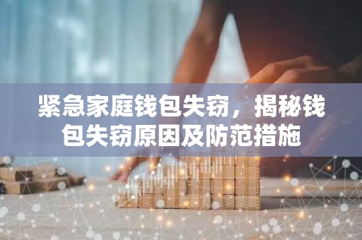 紧急家庭钱包失窃，揭秘钱包失窃原因及防范措施