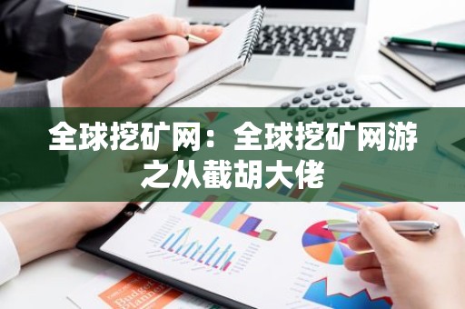 全球挖矿网：全球挖矿网游之从截胡大佬