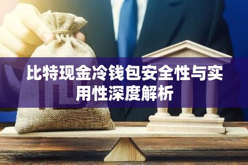 比特现金冷钱包安全性与实用性深度解析