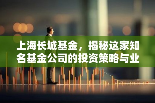 上海长城基金，揭秘这家知名基金公司的投资策略与业绩表现