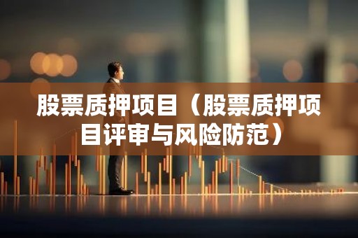 股票质押项目（股票质押项目评审与风险防范）