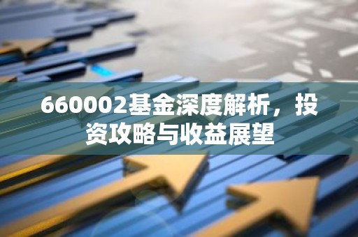 660002基金深度解析，投资攻略与收益展望