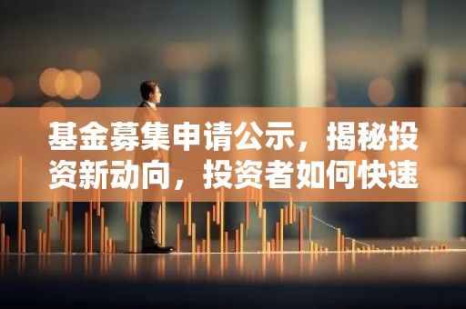 基金募集申请公示，揭秘投资新动向，投资者如何快速获取信息？