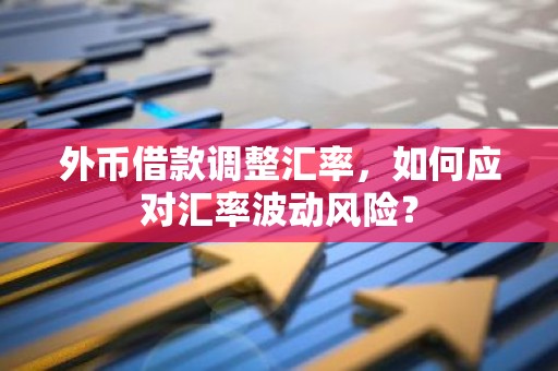 外币借款调整汇率，如何应对汇率波动风险？