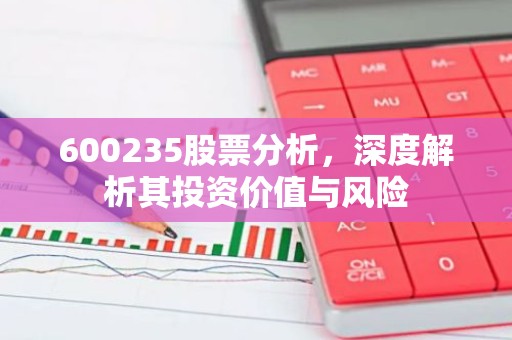 600235股票分析，深度解析其投资价值与风险