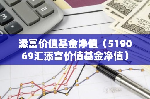 添富价值基金净值（519069汇添富价值基金净值）