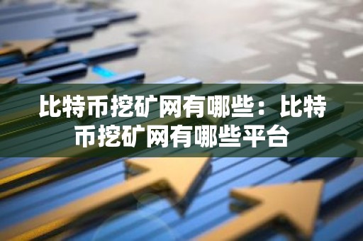 比特币挖矿网有哪些：比特币挖矿网有哪些平台
