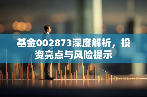 基金002873深度解析，投资亮点与风险提示