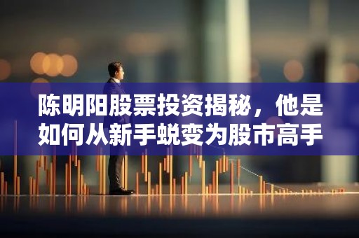 陈明阳股票投资揭秘，他是如何从新手蜕变为股市高手的？