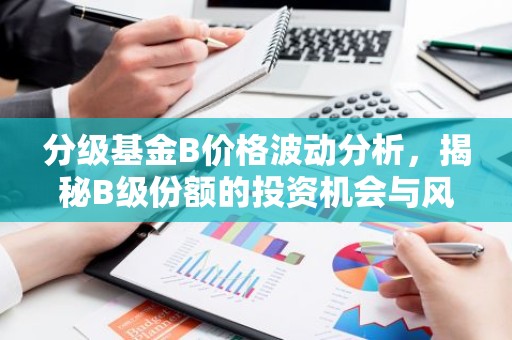 分级基金B价格波动分析，揭秘B级份额的投资机会与风险