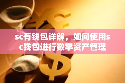 sc有钱包详解，如何使用sc钱包进行数字资产管理