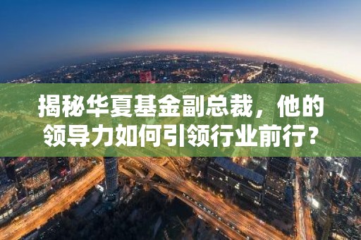 揭秘华夏基金副总裁，他的领导力如何引领行业前行？