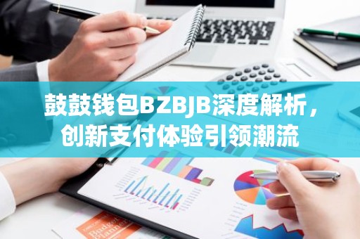 鼓鼓钱包BZBJB深度解析，创新支付体验引领潮流