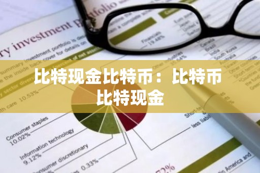 比特现金比特币：比特币 比特现金