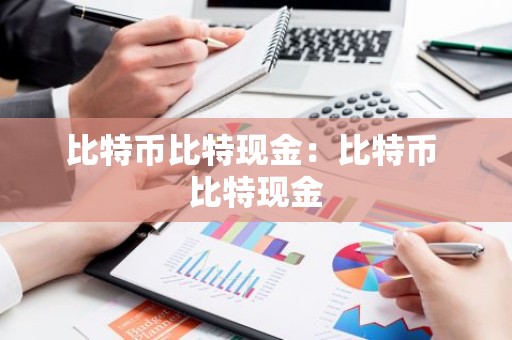 比特币比特现金：比特币 比特现金