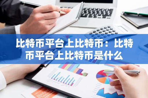 比特币平台上比特币：比特币平台上比特币是什么
