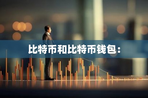 比特币和比特币钱包：