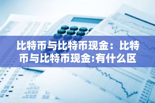 比特币与比特币现金：比特币与比特币现金:有什么区别?