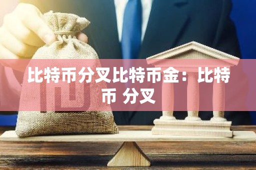比特币分叉比特币金：比特币 分叉