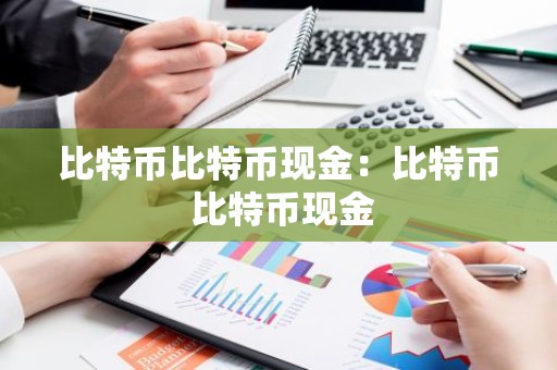 比特币比特币现金：比特币 比特币现金