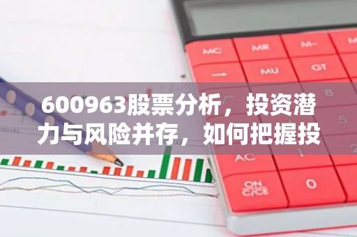 600963股票分析，投资潜力与风险并存，如何把握投资机会？