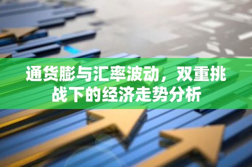 通货膨与汇率波动，双重挑战下的经济走势分析