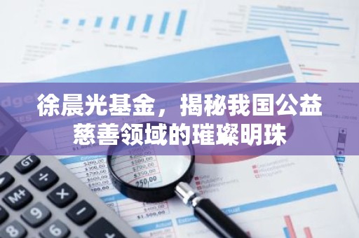 徐晨光基金，揭秘我国公益慈善领域的璀璨明珠