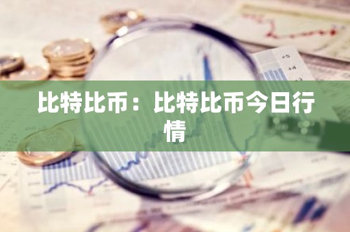 比特比币：比特比币今日行情