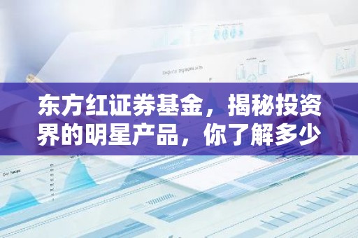 东方红证券基金，揭秘投资界的明星产品，你了解多少？
