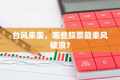 台风来袭，哪些股票能乘风破浪？