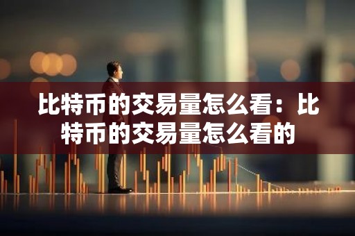 比特币的交易量怎么看：比特币的交易量怎么看的
