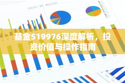 基金519976深度解析，投资价值与操作指南