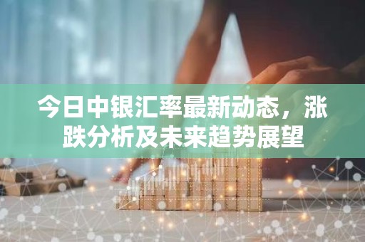 今日中银汇率最新动态，涨跌分析及未来趋势展望