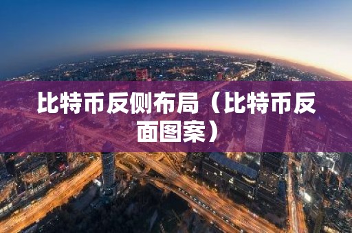 比特币反侧布局（比特币反面图案）